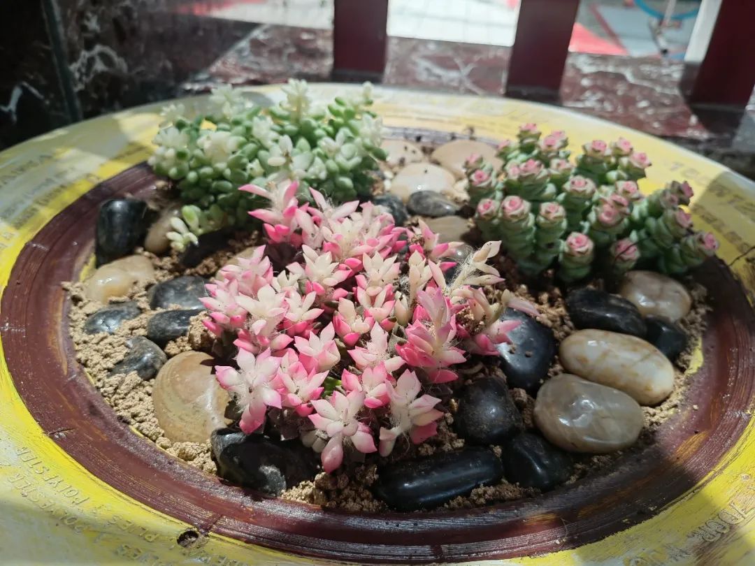 倾听儿童相伴成长主题墙幼儿园,倾听儿童相伴成长幼儿园小班视频