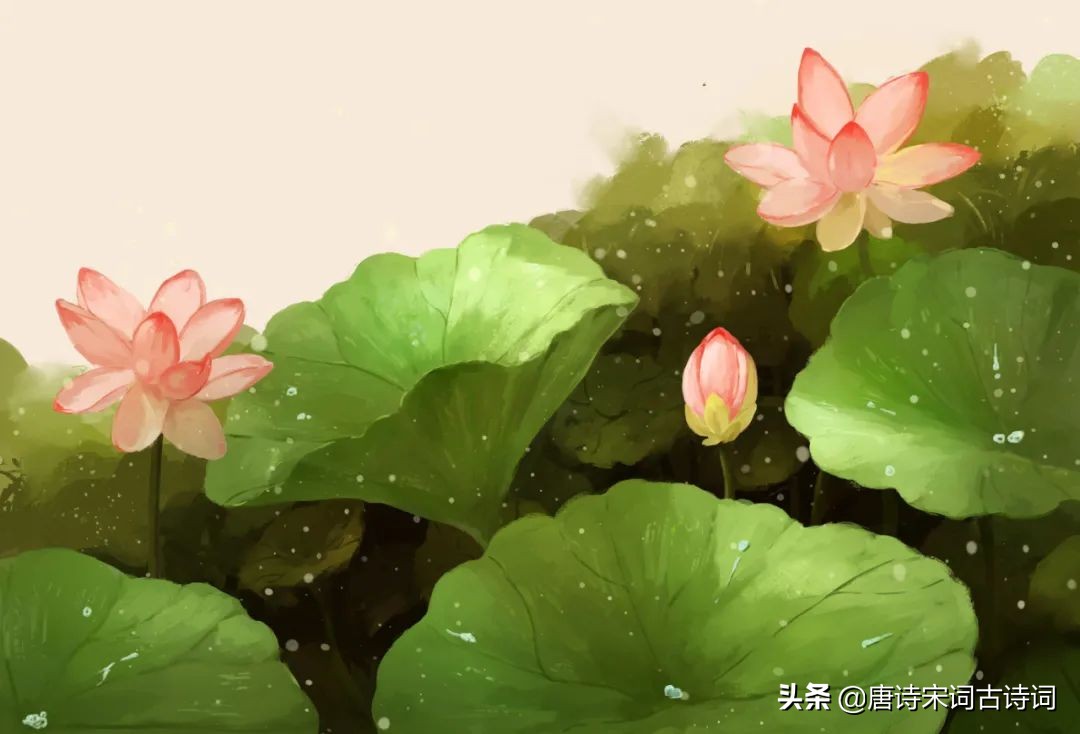 李梅子,李梅子寿县