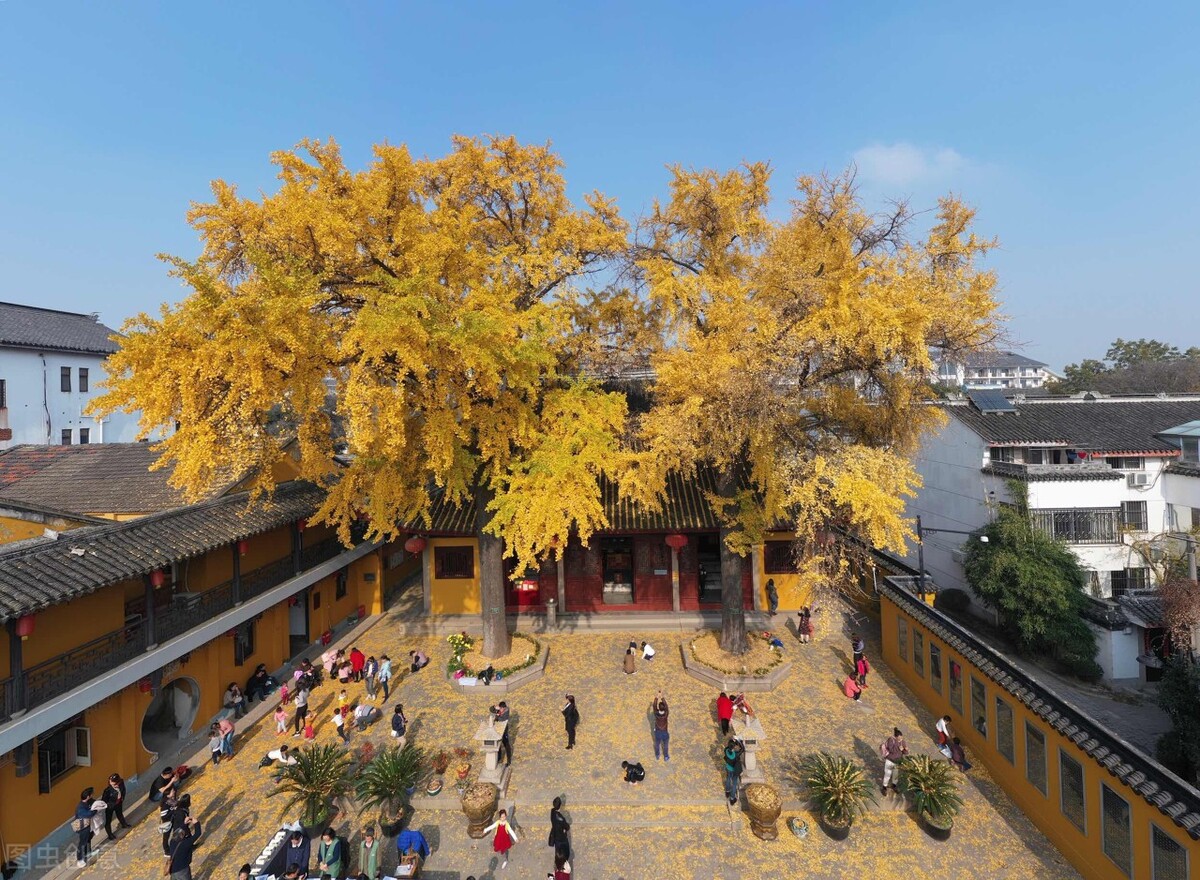 秋天的苏州必去的景点,苏州秋天小众景点推荐