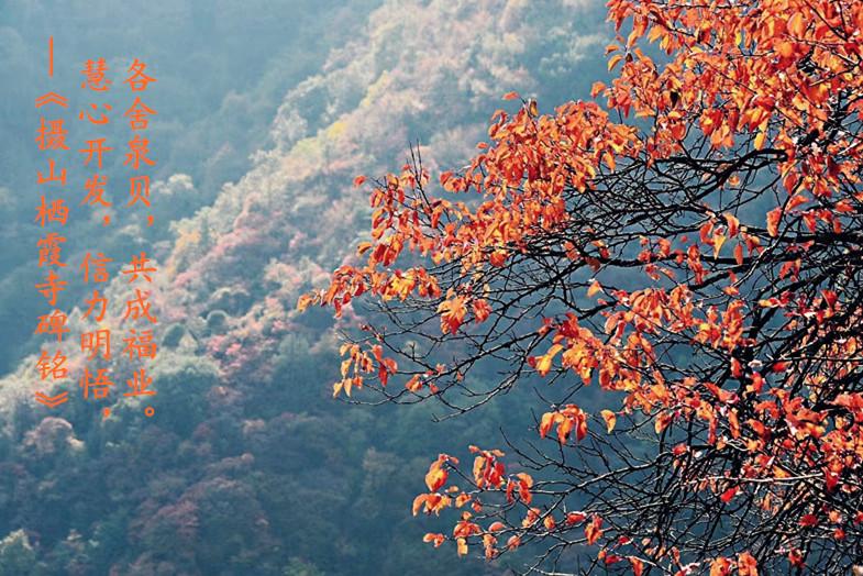 涓浗浼犵粺浜斿痉淇韩鏂囧寲,涓崕浼犵粺浜斿痉淇韩鏂囧寲