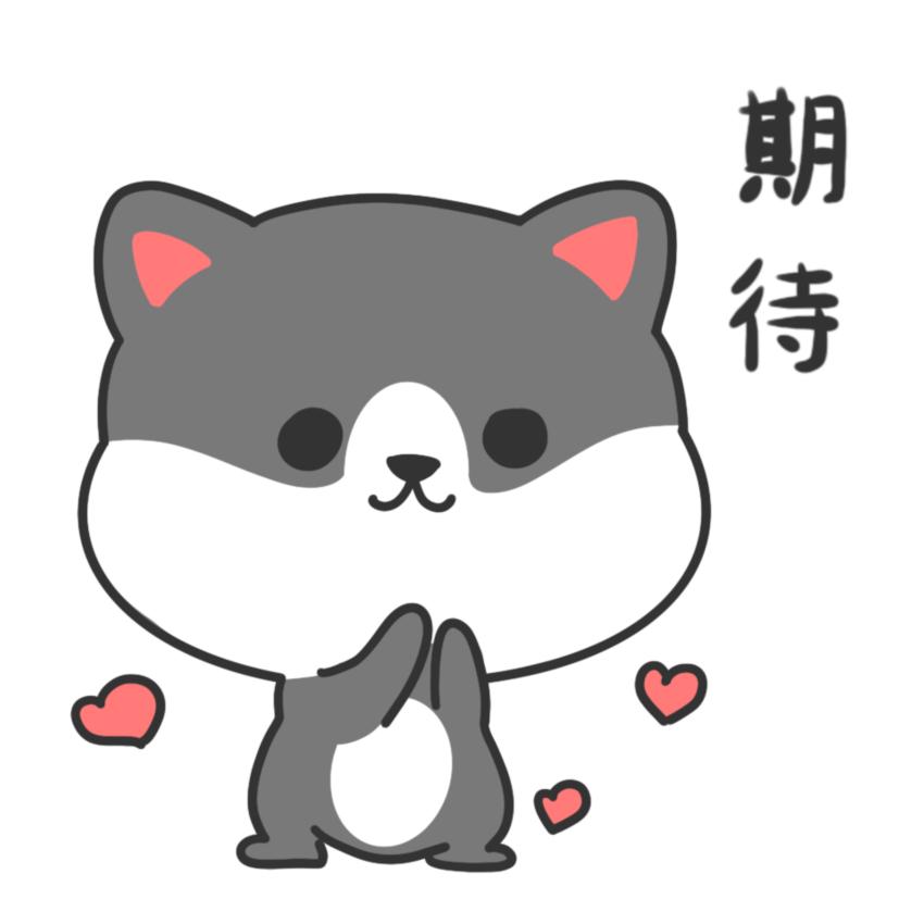 厦门白鹭亚洲杯足球场,厦门白鹭体育馆亚洲杯