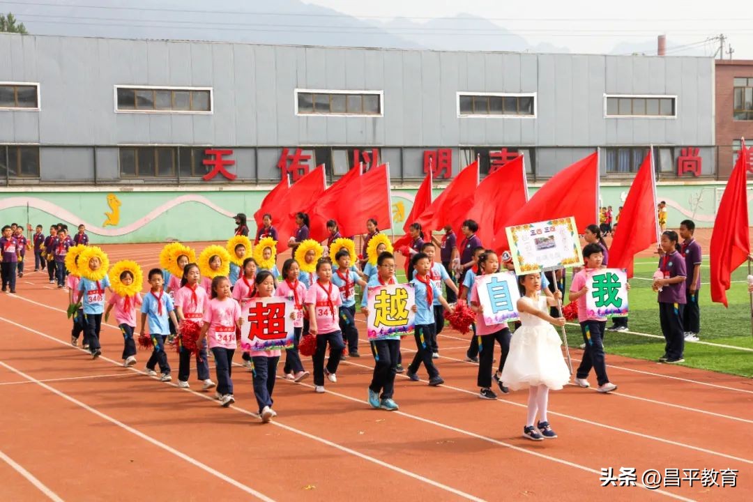 校园竞技,校园赛场青春激扬活力四射