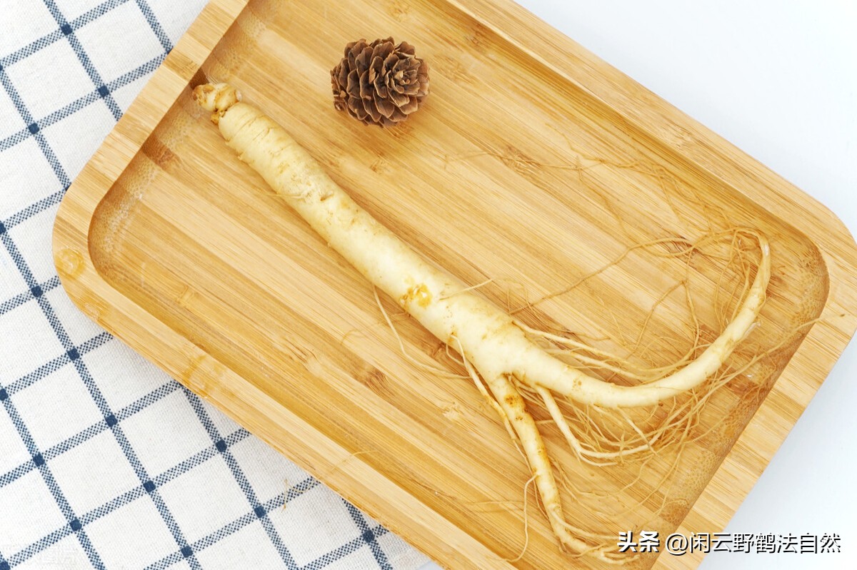 西洋参养生茶提高免疫力,西洋参可以调整免疫系统