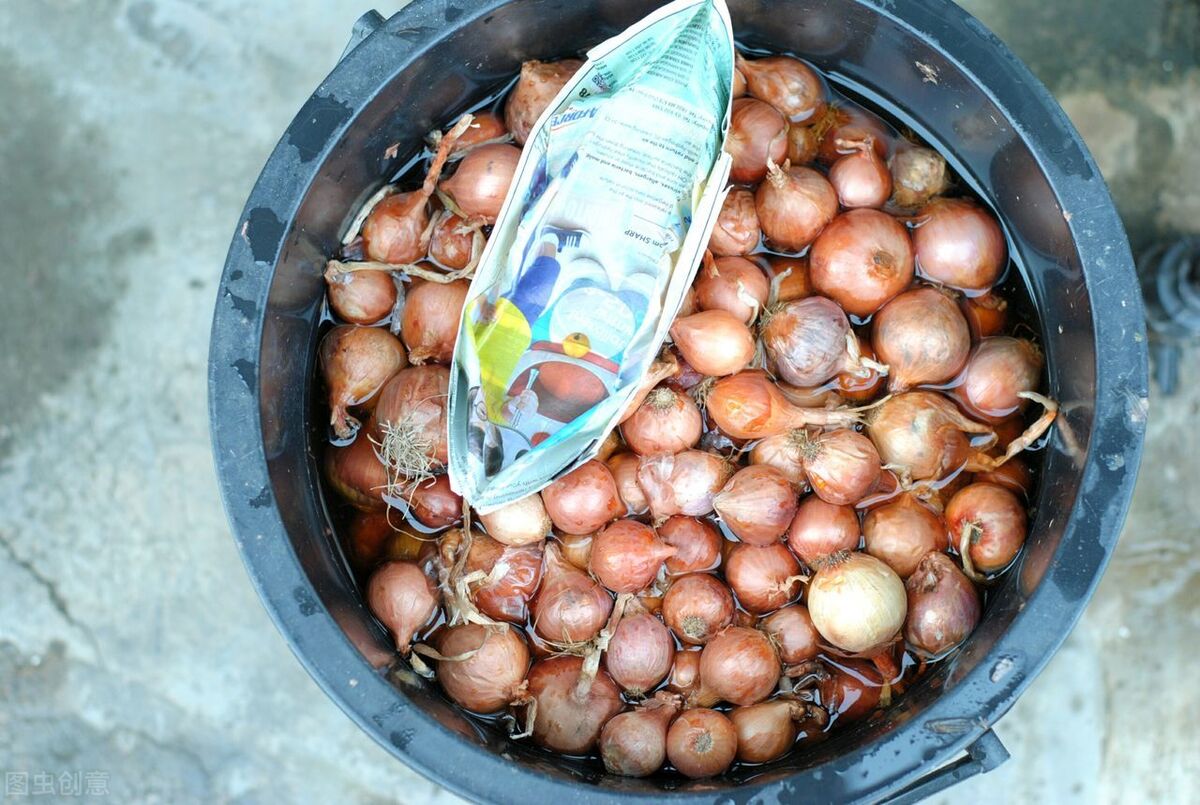 洋葱可放冰箱冷藏几天,买洋葱可以给新冰箱除味吗