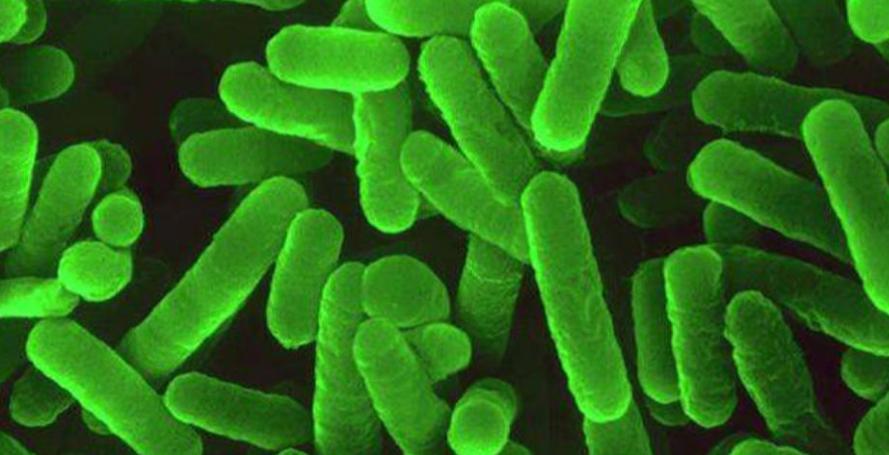 口腔乳酸杆菌多怎么调理,口腔健康的重要性视频