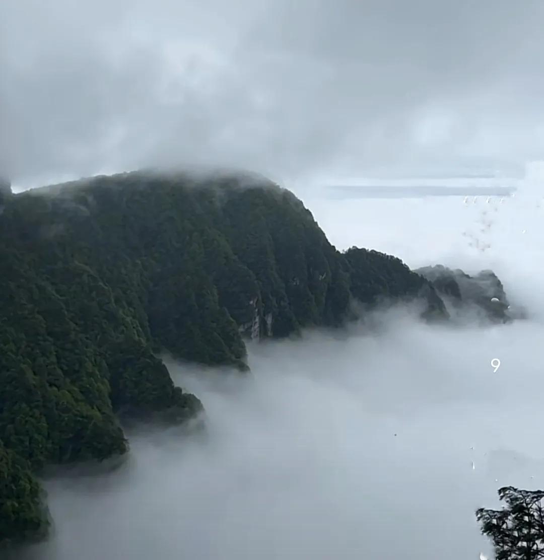 带你们了解一下轻资产创业模式,轻资产创业的十大思路