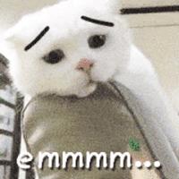 床上用品分享,床上用品好物分享推荐