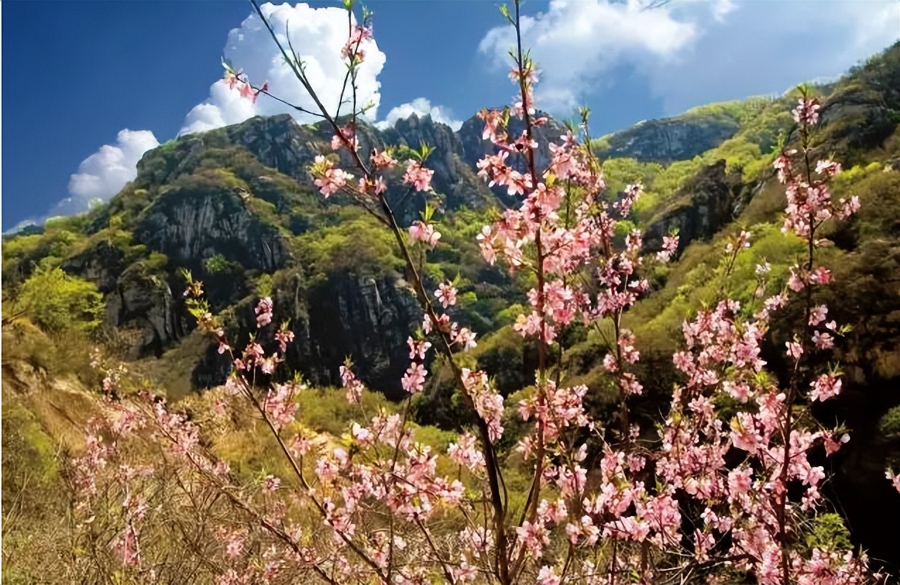 北京的著名风景区有哪些,北京景区排名必玩十大景点