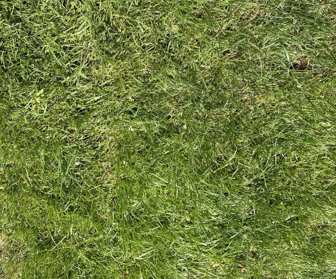 提前半年交房靠谱吗,提前半年交房装修的房子是现房吗