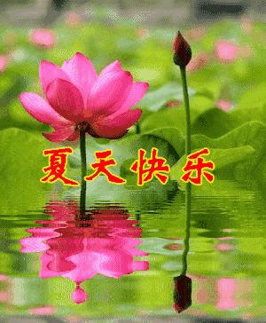 经典立夏祝福图片,立夏快乐图片祝福语