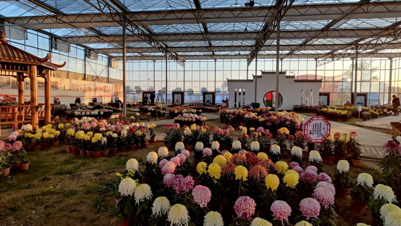 湖北宝藏旅游景点,湖北的宝藏旅行地恩施