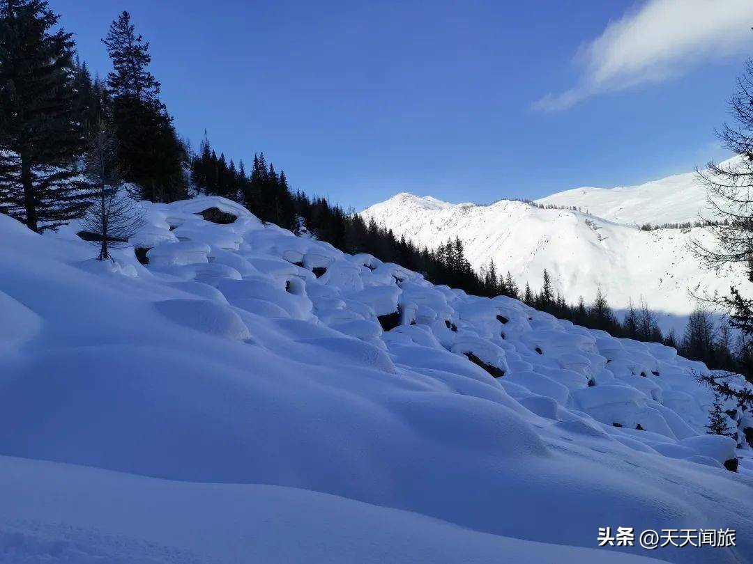 阿勒泰野雪公园滑雪攻略,新疆阿尔泰山雪野公园
