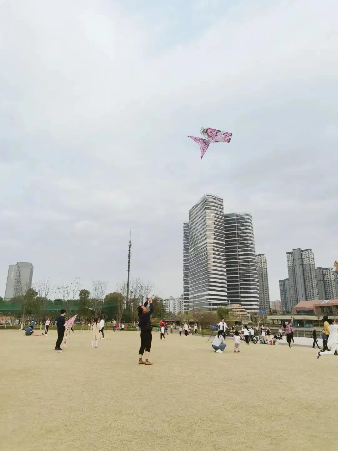 大草坪放风筝,草坪大风筝