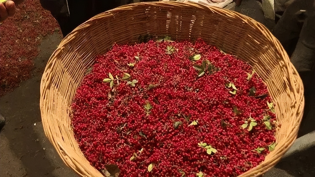 全国哪的花椒最正宗？经过对比，这4个地方名气最大，有你家乡吗