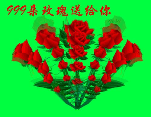 分享一束花图片,分享照片愿你遇到的都是美好