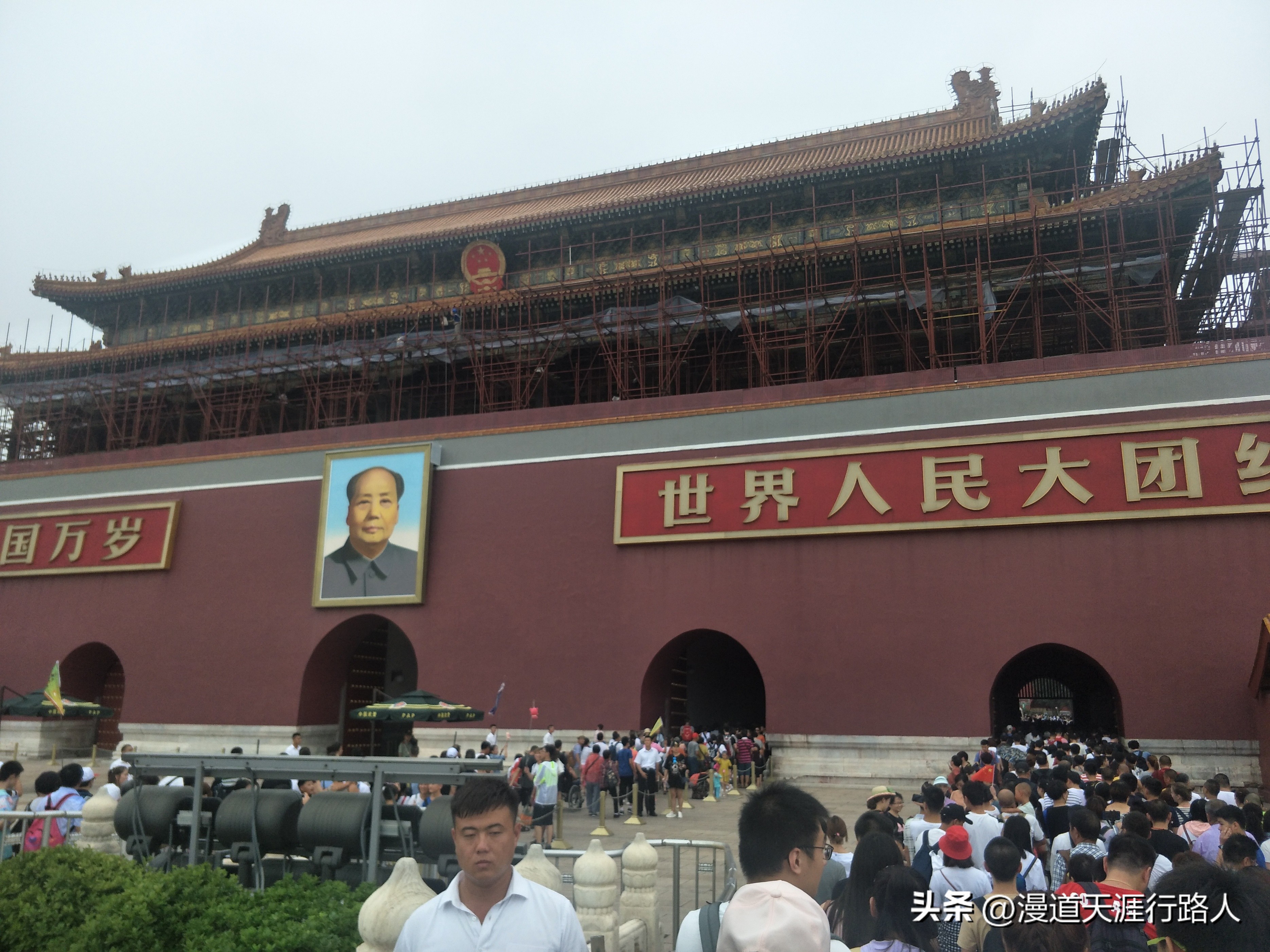 菊花保卫战视频,菊花保卫战最新视频