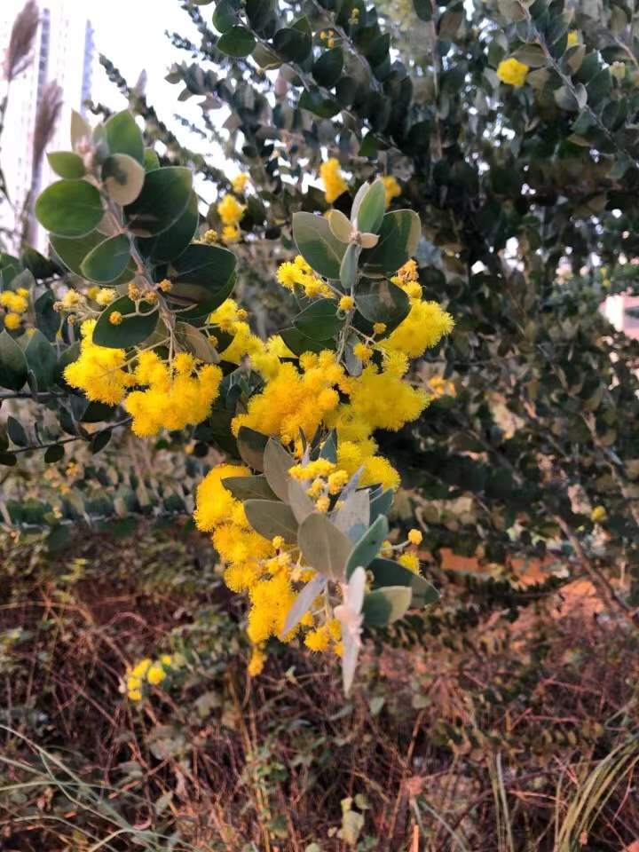 春暖花开我们一起去踏青,春暖花开我们共赏樱花