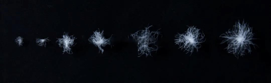 雅兰寝饰酒店用品在淘宝有吗,雅兰寝饰用品