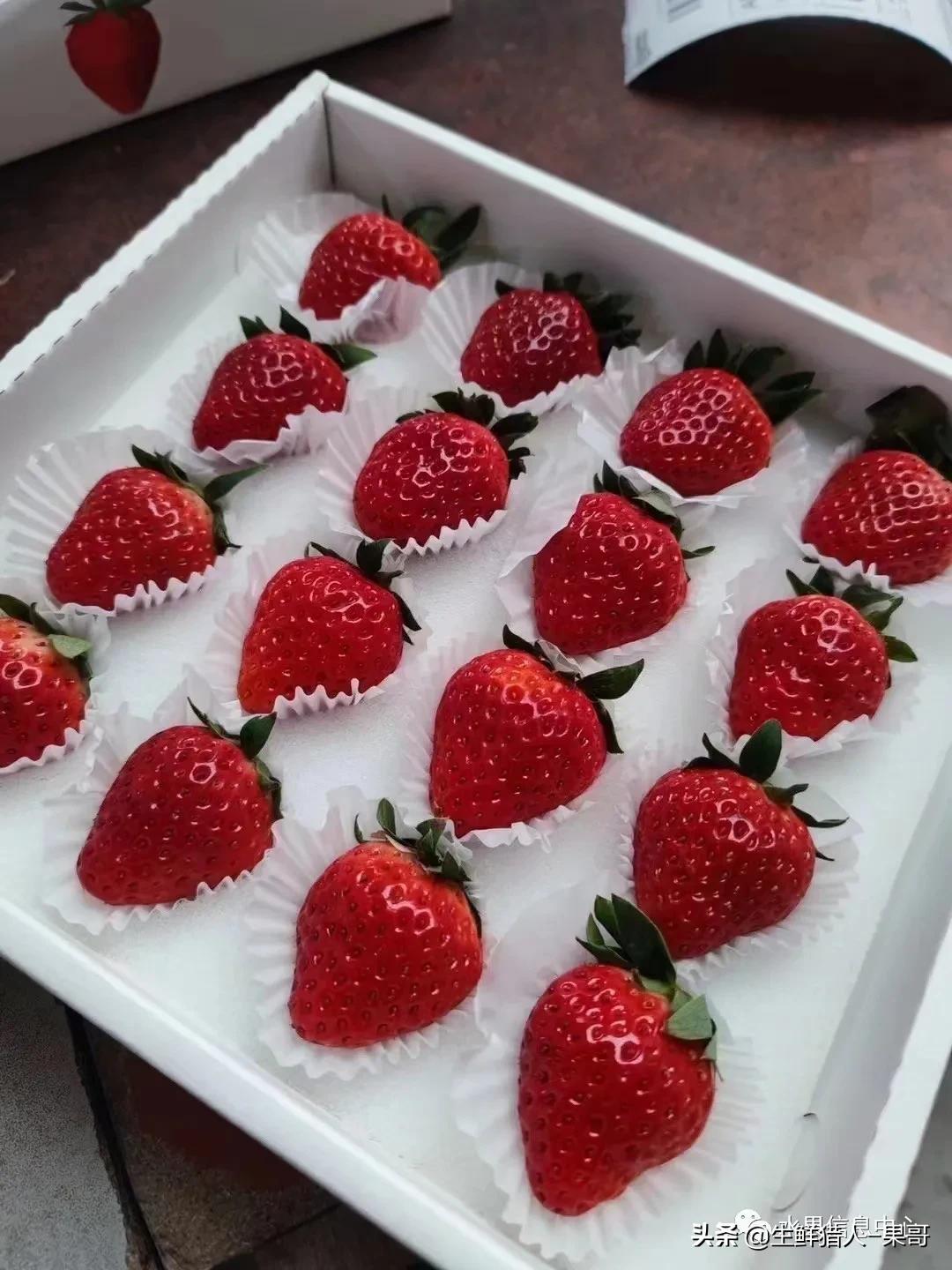 在水果中浆果是分哪几种,水果分类浆果