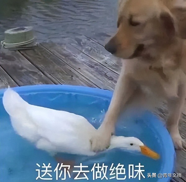 开心一刻一招制敌,开心一刻幽默语句