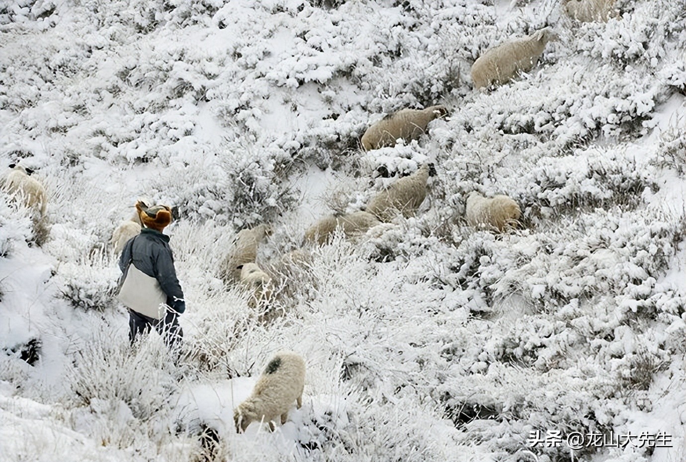 雁北乡土小说：尘埃落地（一百零七）