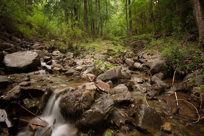 瓷砖经销商的出路,经销商的出路和技巧