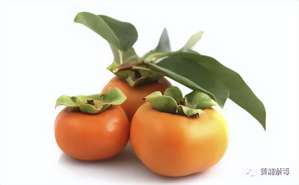 健康小贴士吃零食,健康小贴士每天吃什么最好