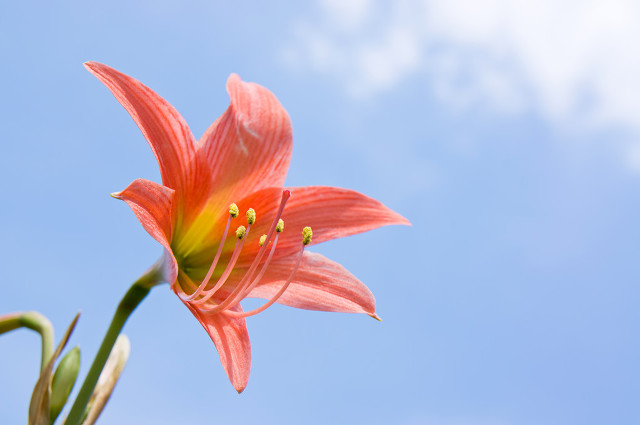 如何培养思考习惯表达能力,8种方法帮你提升表达能力