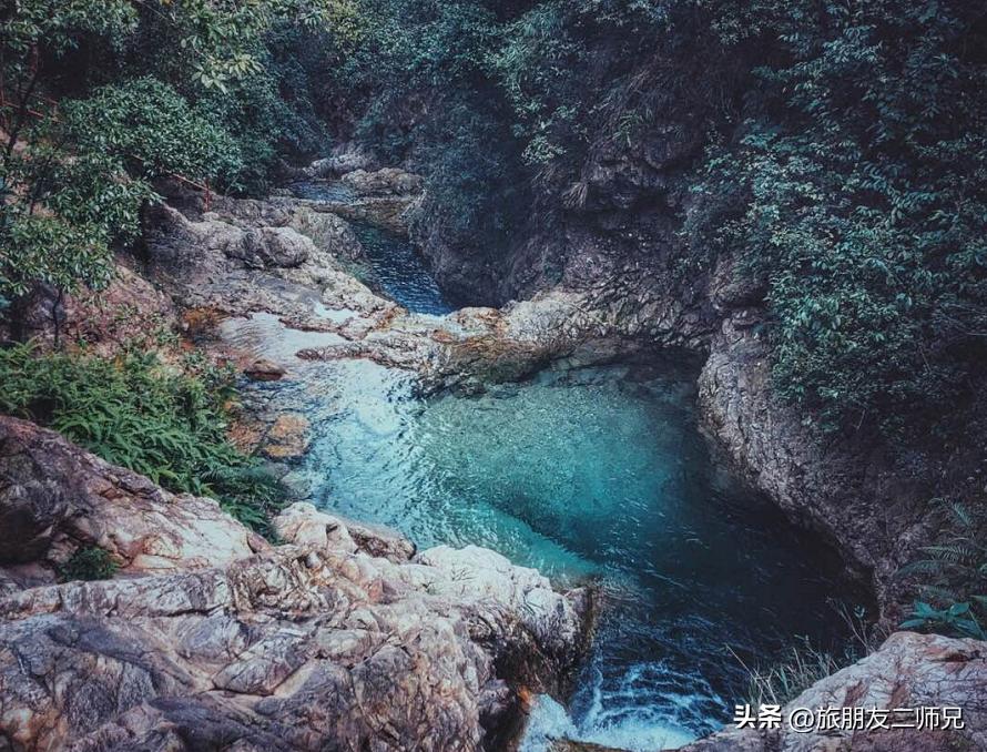 佛山广州两天两夜游玩攻略,佛山去南海湾森林公园