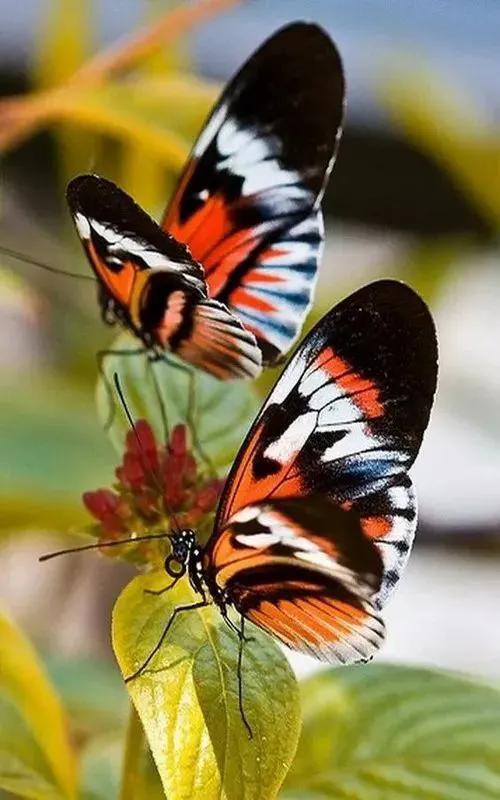 100张绝美风光摄影作品简介,最好的摄影风景照片