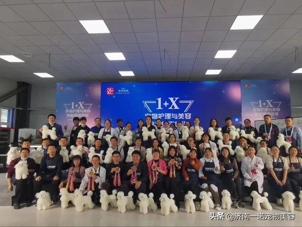 怎样成为宠物美容师的条件与要求,宠物美容师如何成为美容培训讲师