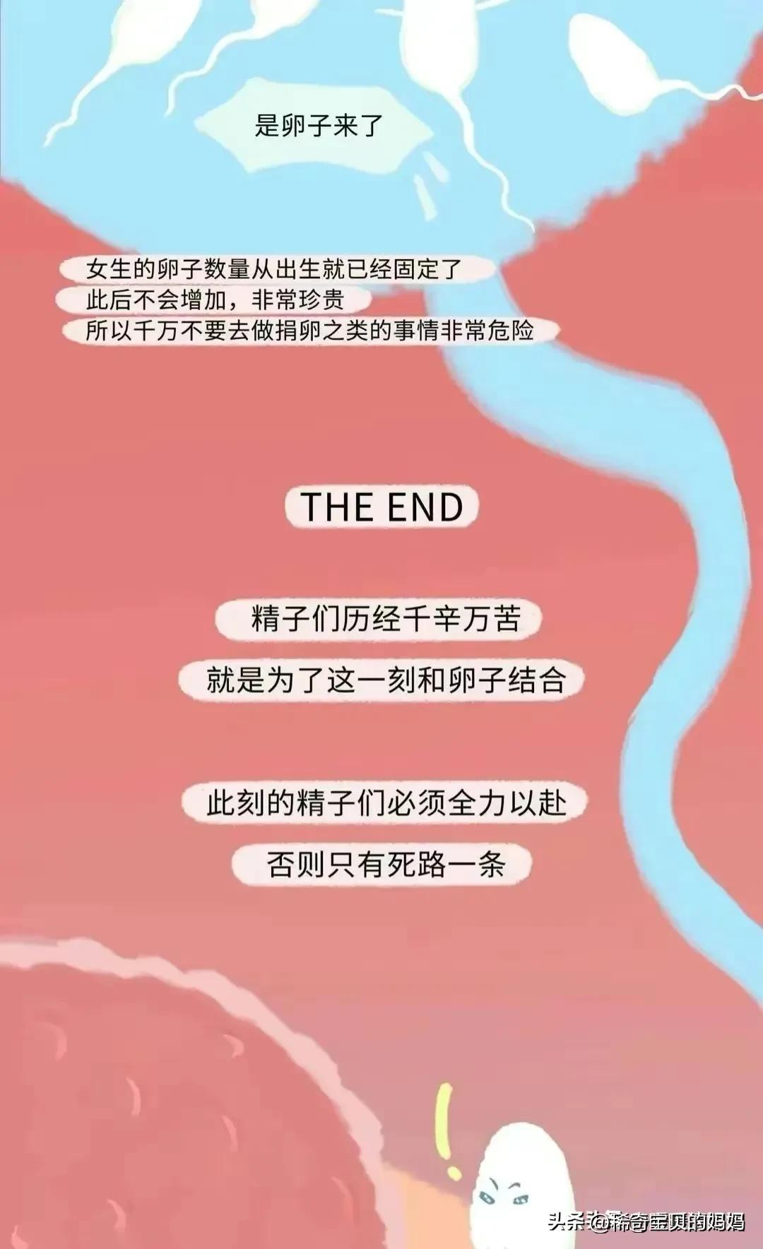 “小蝌蚪＂进入女性体内的全过程