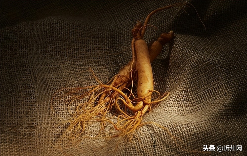 日本解密长寿秘密,日本最长寿密码