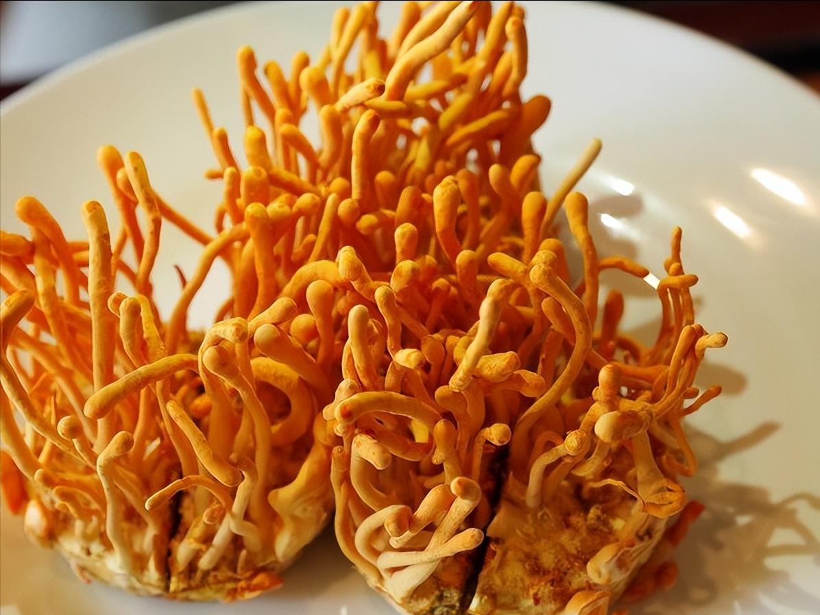 一场掏空钱包的*局骗**？被商家吹爆的5种保健品，实则真没啥用