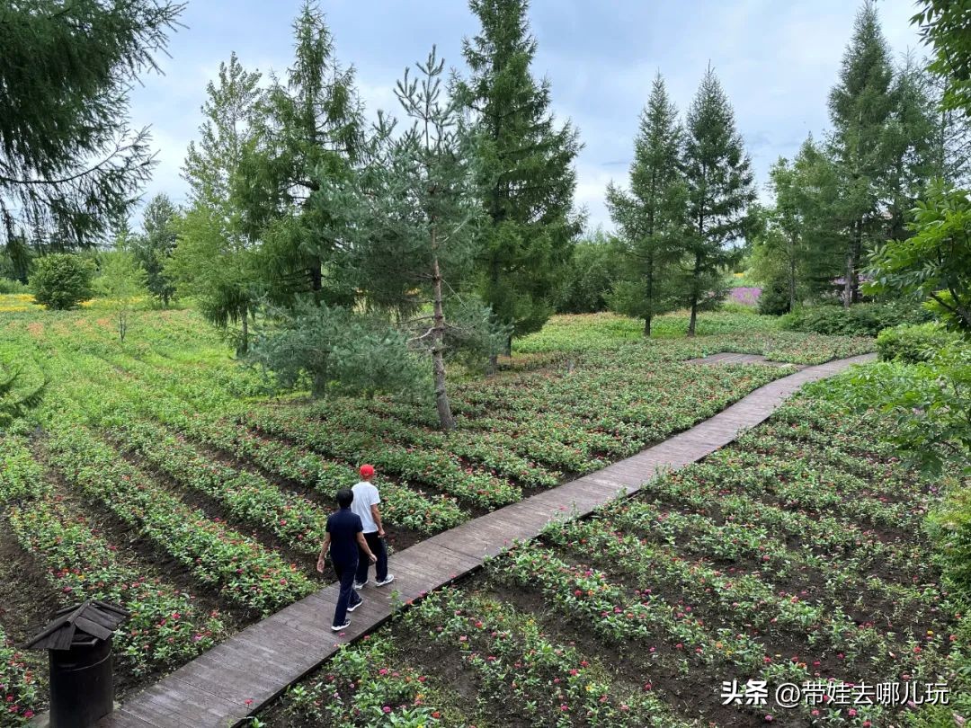长白山二道白河旅游攻略7月游,自驾二道白河长白山旅游攻略