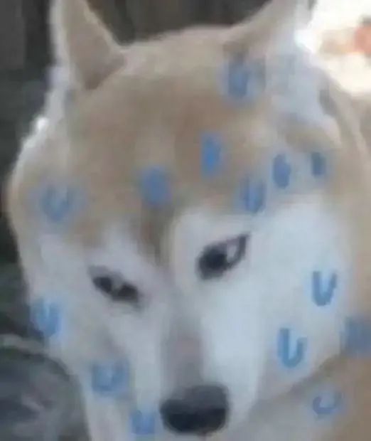 瀹嬩腹涓逛綆鎯呭晢鏃跺埢,瀹嬩腹涓规嫑浜虹儲