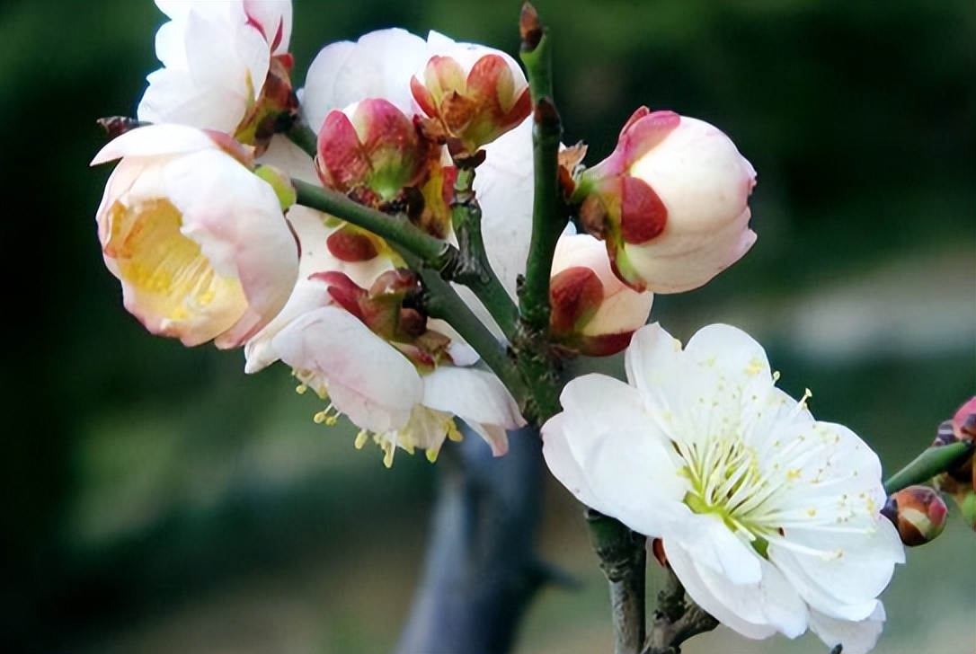 有诗意的江南烟雨诗句,关于烟雨的古诗词名句