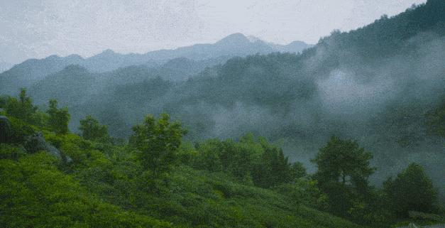 60字寓言故事和启示,六个简短的寓言故事名字