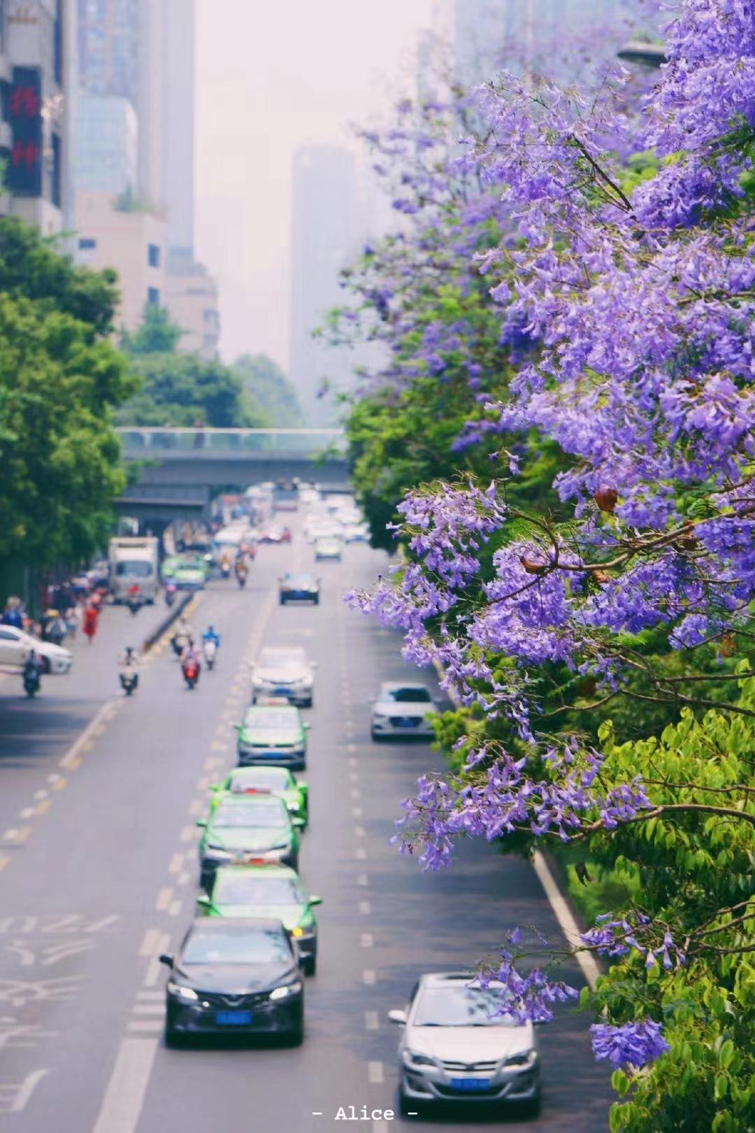 成都有哪些好玩的网红打卡地,成都网红打卡地最新旅游景点