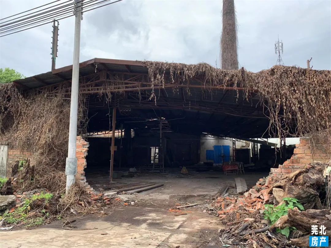 0.57公里蕴含着无数石龙人的回忆，这条村你了解吗？