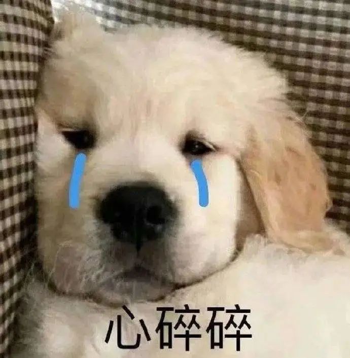 国际快递怎么寄最划算,怎么寄国际快递最便宜和最快