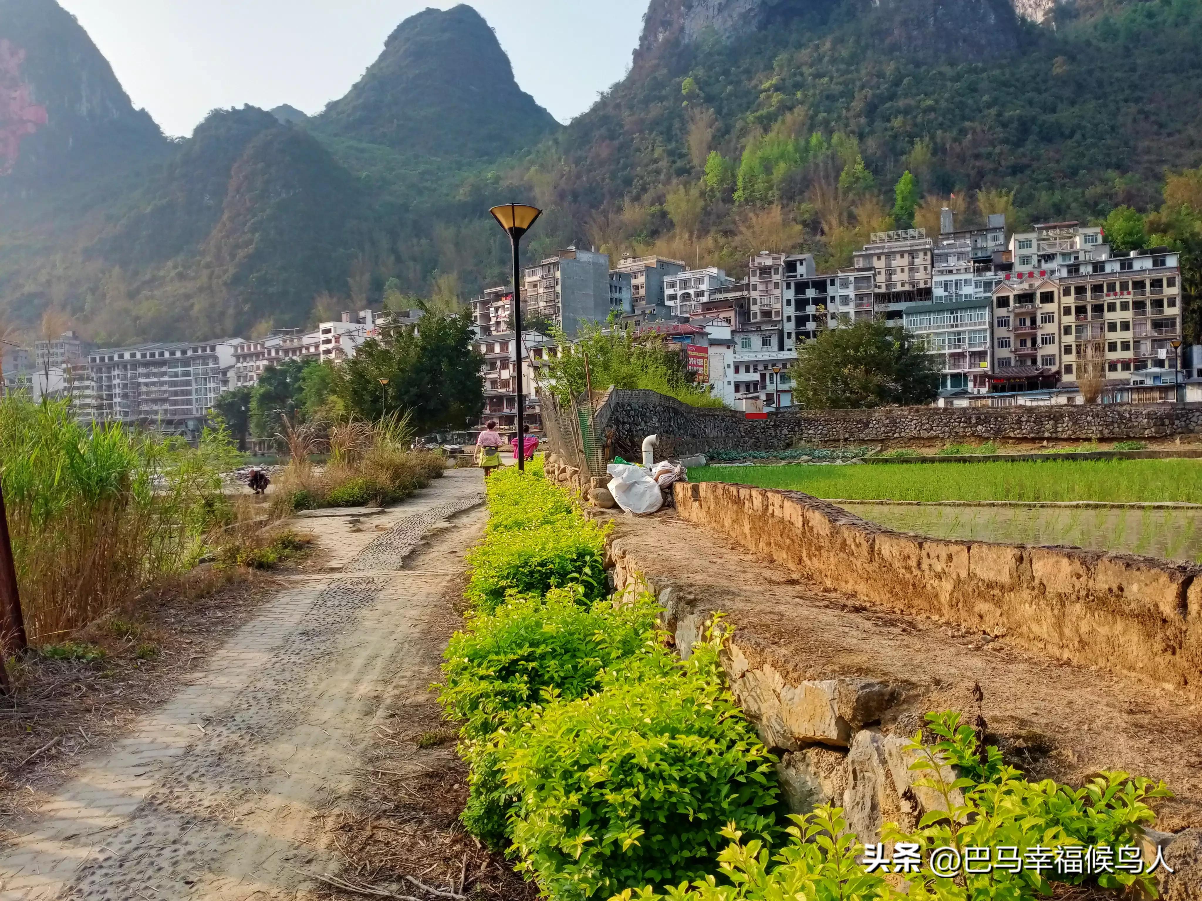 候鸟人在巴马的生活,候鸟人在巴马长寿村