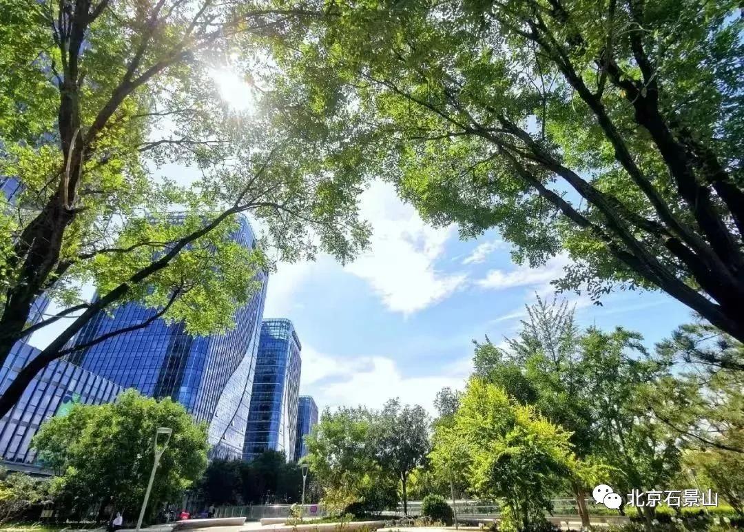 五年蝶变守护碧水展新姿,五年蝶变展芳华