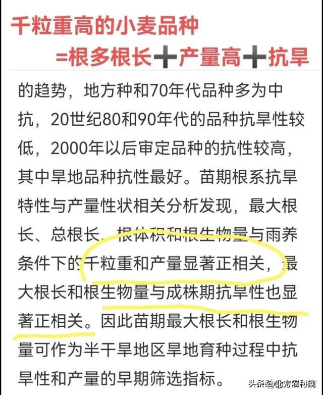 黄淮麦区新品种,黄淮小麦品种前十名