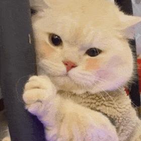 可爱表情包|你能那我怎么样