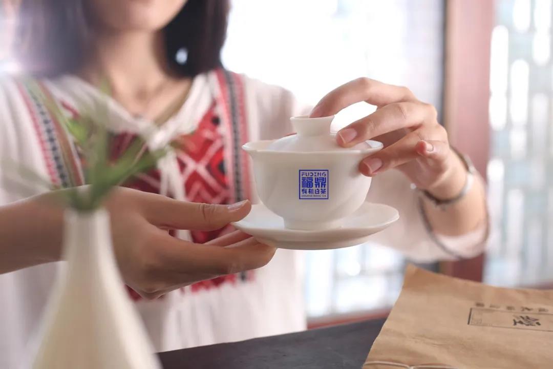 福鼎白茶野山有机茶价格,福鼎白茶假的有机茶