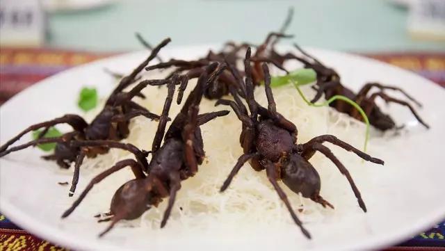 鍥藉榛戞殫缇庨鏂欑悊,鍥藉10閬撲护浜哄穿婧冪殑榛戞殫鏂欑悊