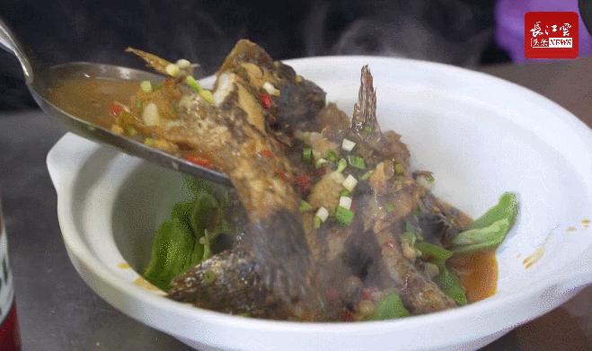 长江土著鱼有哪些,长江土著鱼