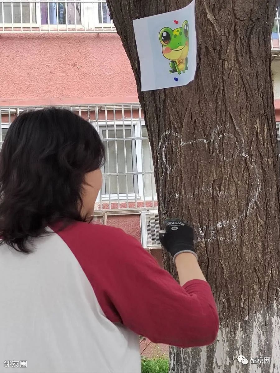 blueglass酸奶望京,blueglass酸奶望京凯德