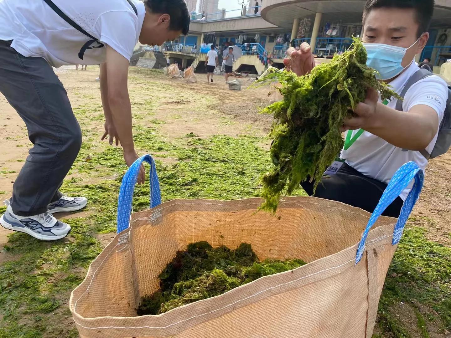 世界海洋日一起云游海洋馆,世界海洋日去浪一下吗